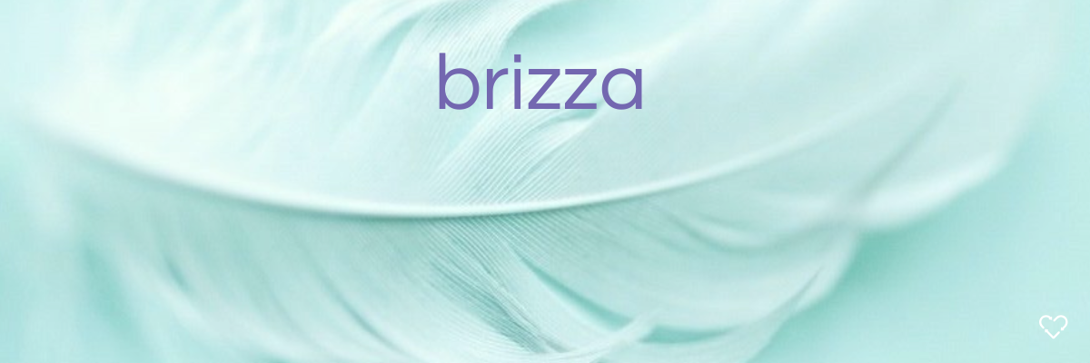 Brizza 